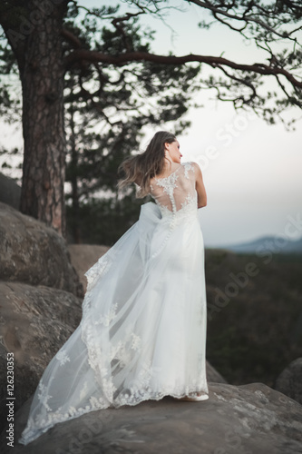 Gorgeous bride in elegant dress holding bouquet posing near forest  © olegparylyak