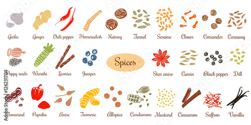 Big set of simple flat culinary spices. Silhouettes