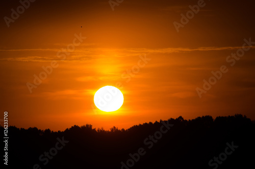 Sunset or sunrise sun disc above the tops of the forest trees si