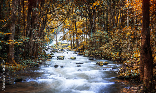 Waterfalls leaves change color in autumn.