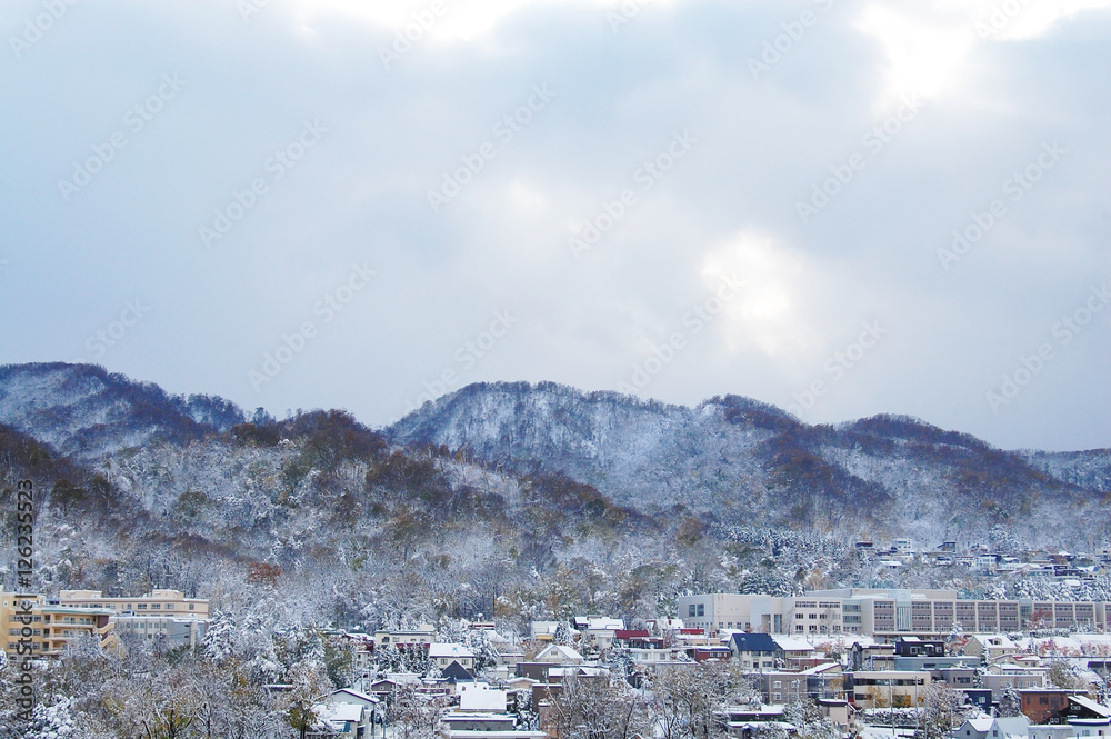 札幌の冬景色 札幌の冬景色