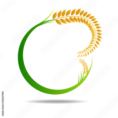 wheat on white and text, agricultural vector illustration