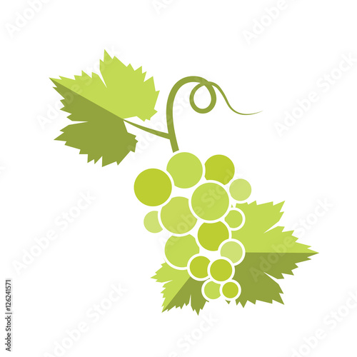 beautiful_illustration_of_green_grapes