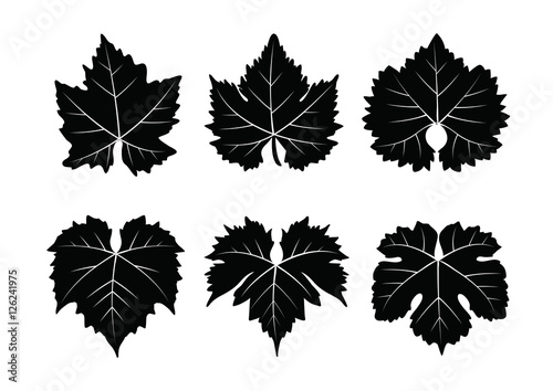collection_of_vector_wine_leaves