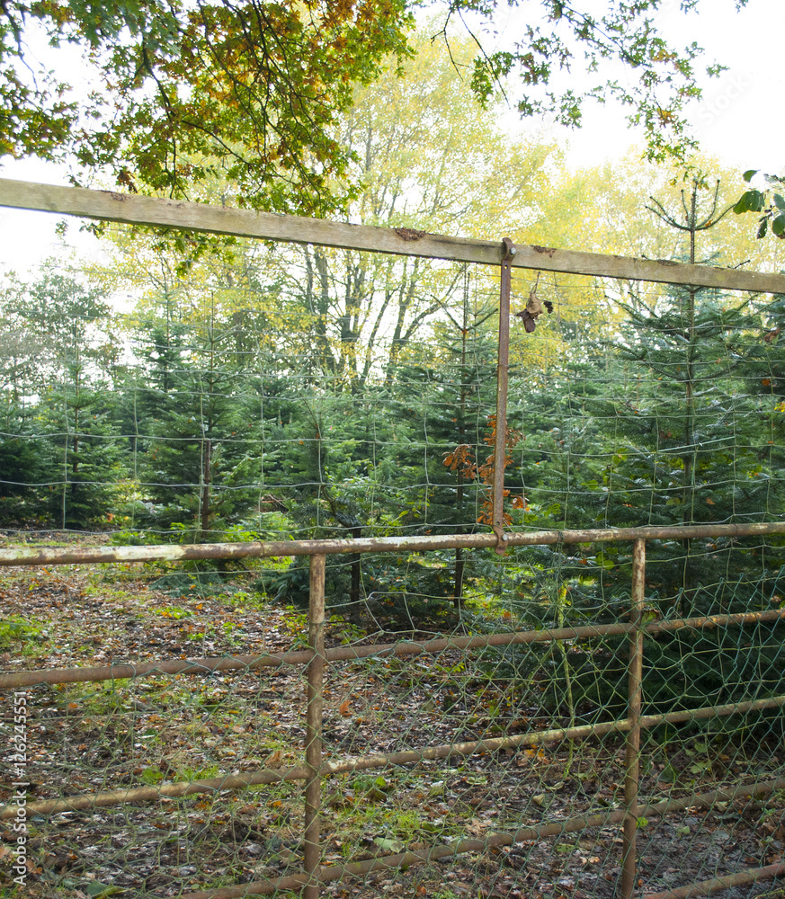 Weihnachtsbaum Verkauf in Schleswig-Holstein Weihnachtsbaum Verkauf in Schleswig-Holstein