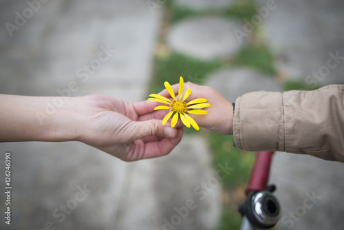 黄色い花を手渡す親子の手 photo