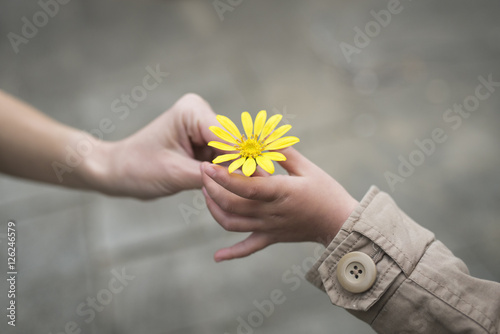 黄色い花を手渡す親子の手