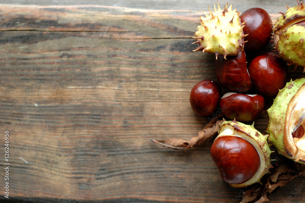 Several ripe chestnuts on a wooden background. Several ripe chestnuts on a wooden background.