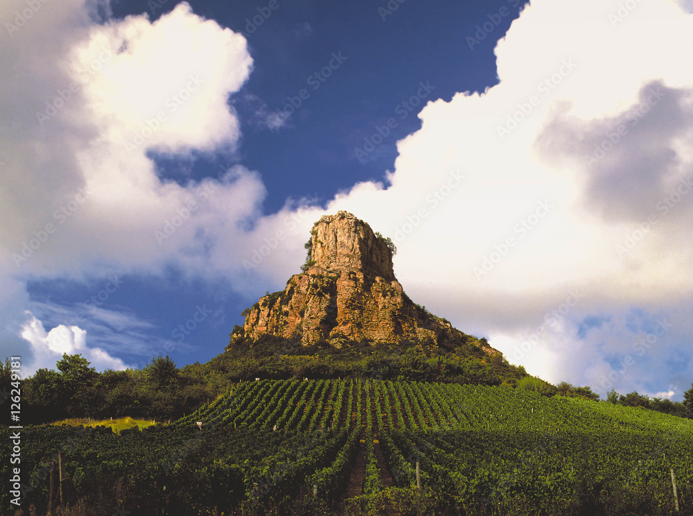 burgundy vineyards burgundy vineyards