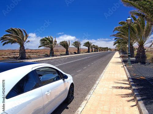Modern style car on asphalt road through the palm alley in the southern village. Strong wind, white clouds on a blue sky. Lanzarote, Canary Islands, Spain