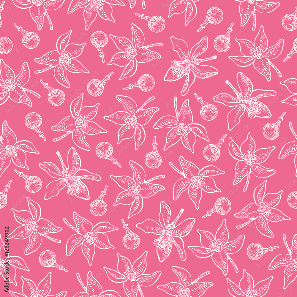 Seamless pattern with lemon flowers and buds on pink background. Vector hand drawn pattern. Good for packing design, textile industry, wallpapers and backgrounds.