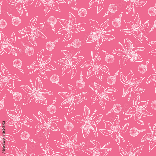 Seamless pattern with lemon flowers and buds on pink background. Vector hand drawn pattern. Good for packing design  textile industry  wallpapers and backgrounds.