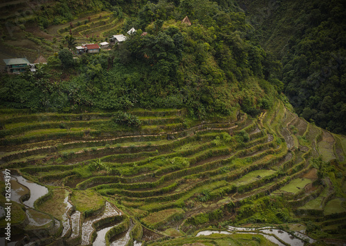 sagada fields-luzon-philippines
