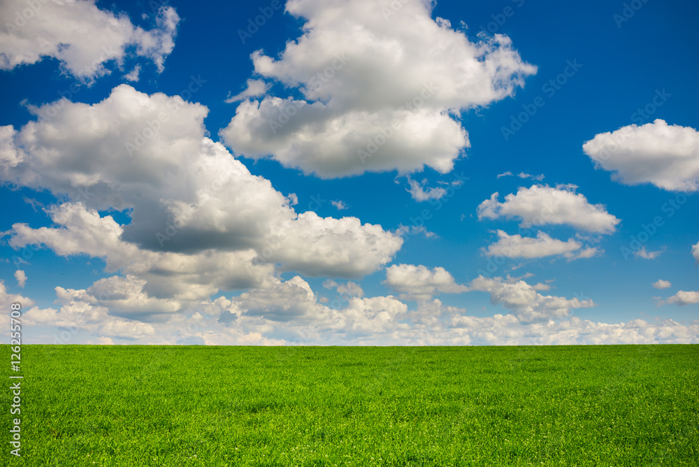 Beatiful morning green field with blue heaven Beatiful morning green field with blue heaven