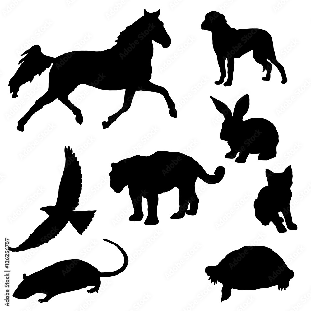 Collection of various animal silhouettes in vector format.