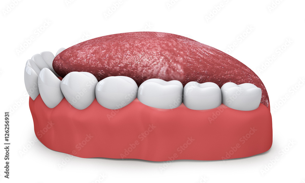 Fototapeta premium jaw with teeth and tongue on a white background 3d render