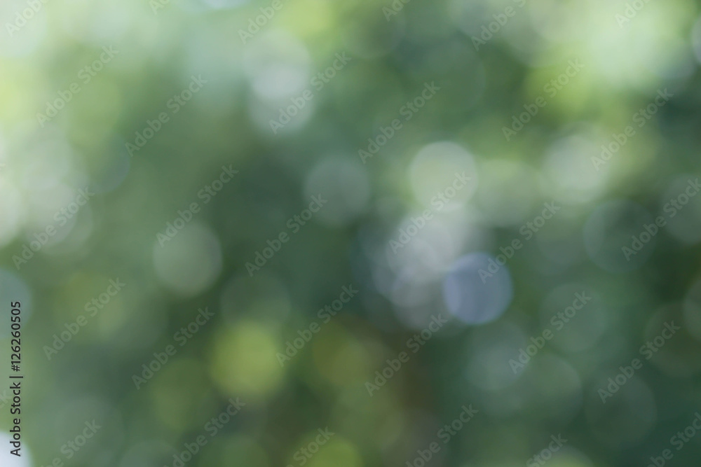 green nature background green nature background