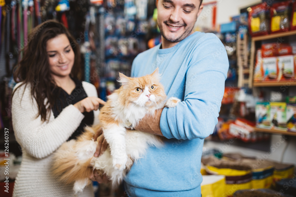 Young man and woman taking their Persian cat to the pet shop. They buying some pet accessories and trying leashes and coat brush for grooming.