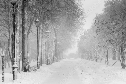 Winter alley in snowy weather with benches and lantern