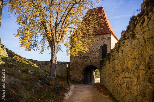Zvikov castle, Czech republic. © Sergey Fedoskin