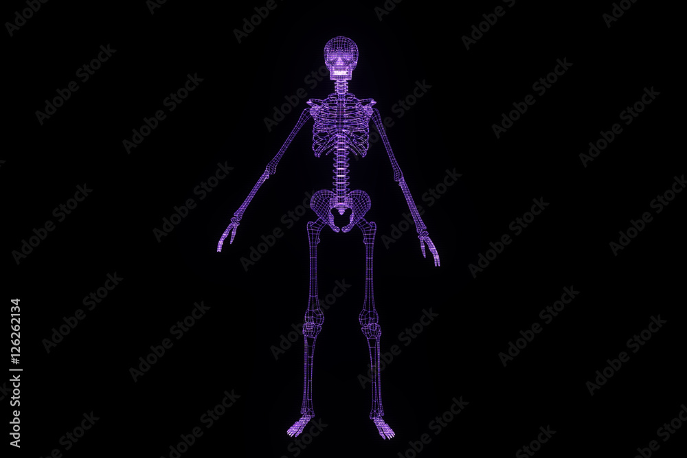 Human Skeleton Wireframe Hologram in Motion. Nice 3D Rendering
Human Skeleton Wireframe Hologram in Motion. Nice 3D Rendering