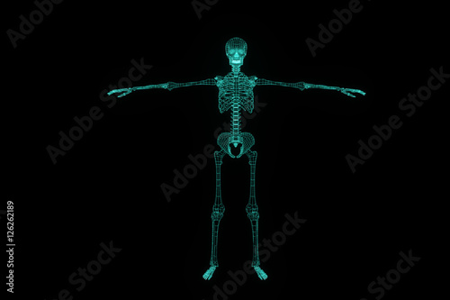 Human Skeleton Wireframe Hologram in Motion. Nice 3D Rendering 