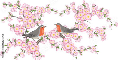 Vektor Illustration mit zwei Rotkehlchen auf Blütenzweigen, die ein Herz formen 