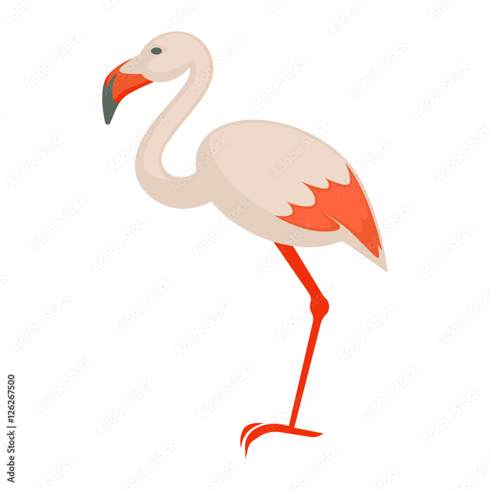 Fotografie pink flamingo. Exotic bird. Vector isolated