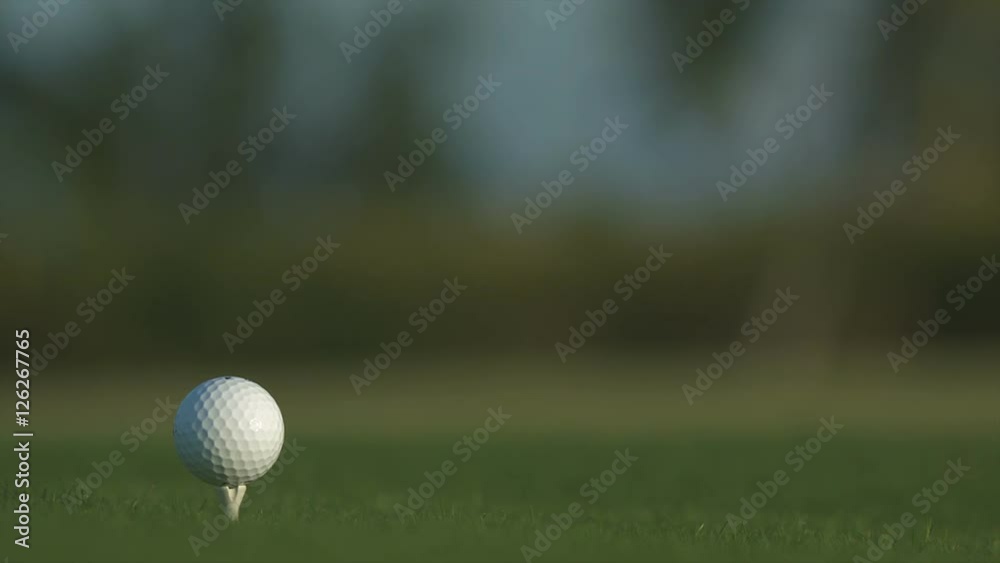 Golf ball standing on a tee before impact Golf ball standing on a tee before impact