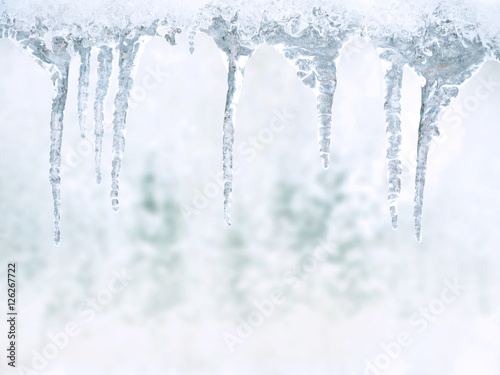 Winter's Tale: icicles on a background of snow-covered forest