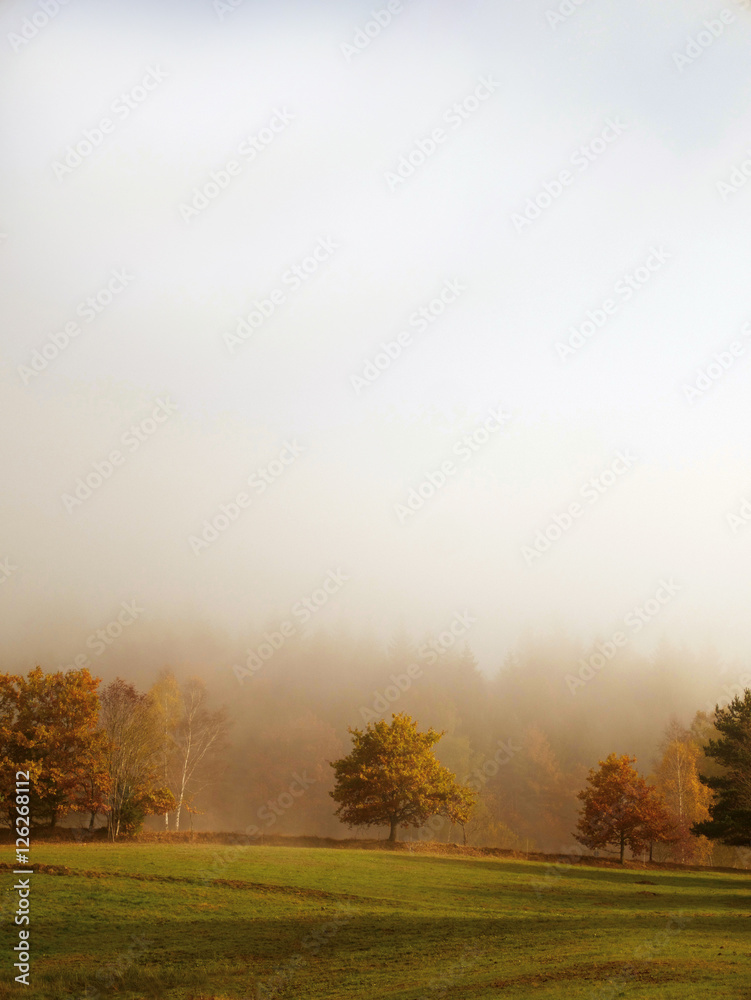 Herbstnebel Herbstnebel