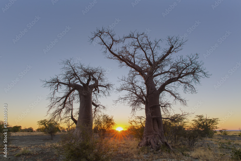 Fototapeta premium Sunrise at Kukonje Island