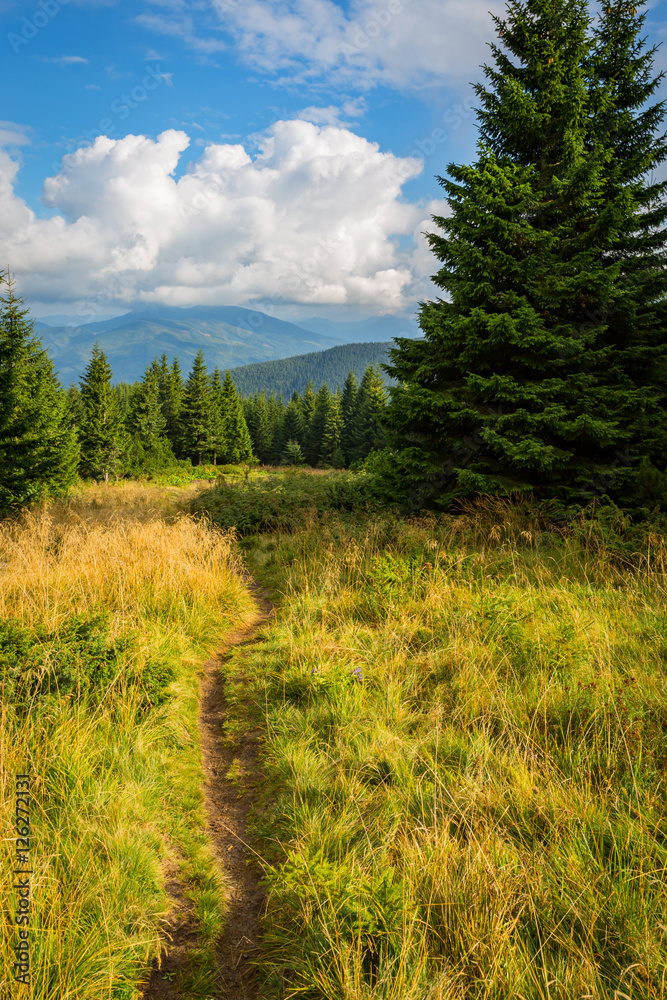 Pathway in mountains