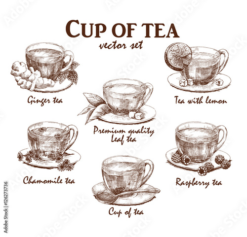 Hand drawn collection of cups of tea in vintage style. Vector illustration