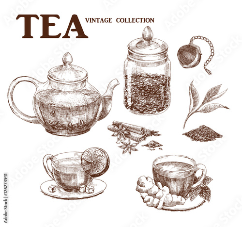 Tea set. Hand drawn collection in vintage style. Vector illustration. 