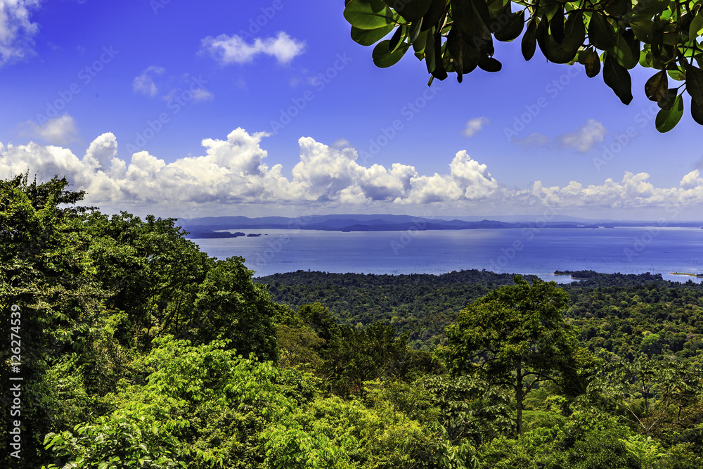 Obraz premium View of Lake Brokopondo in Surinam