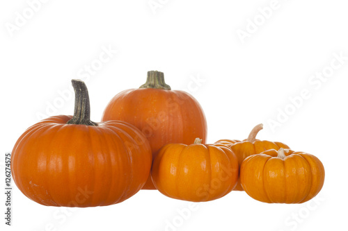 Five Pumpking Display