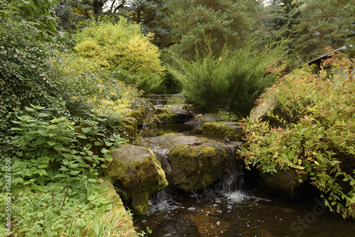 the small stream in the woody park