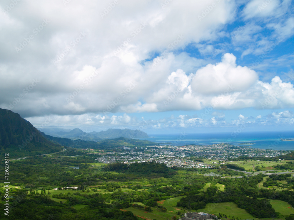 Obraz premium Beautiful scenery of a city in hawaii