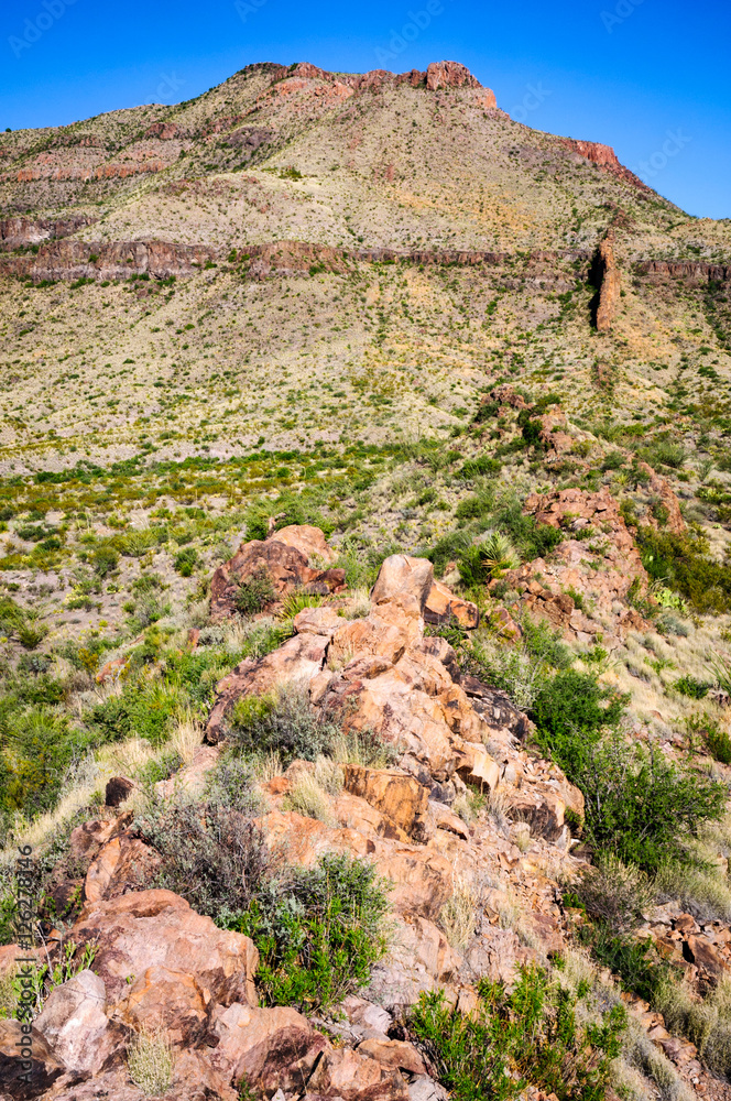 Big Bend National Park Big Bend National Park