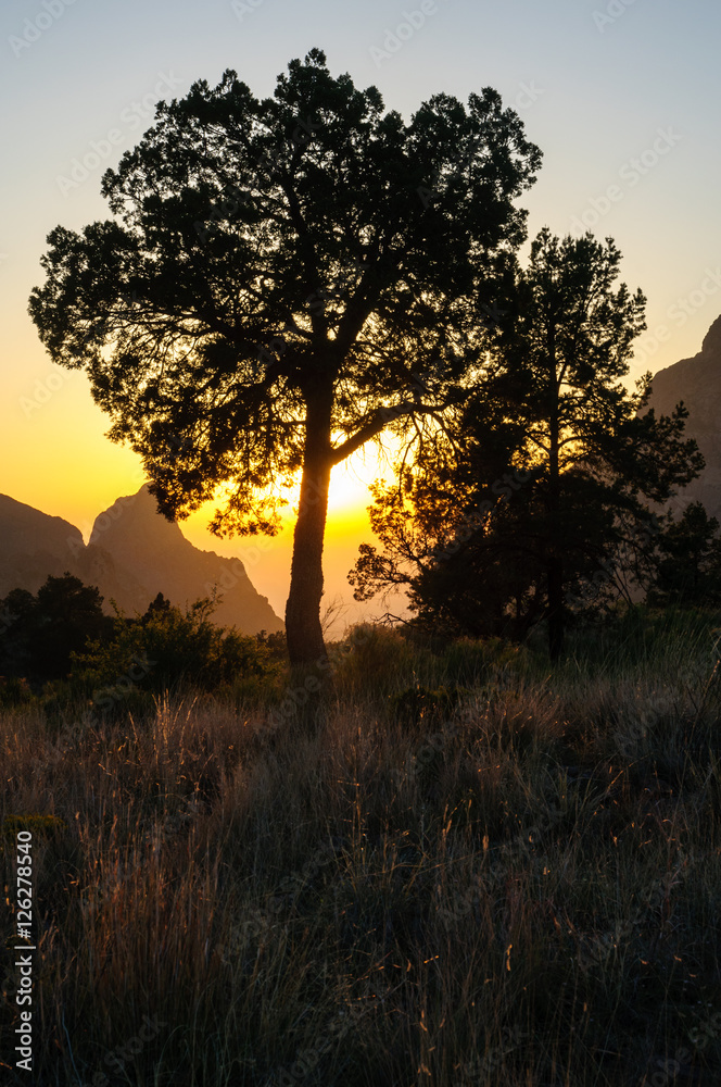 Big Bend National Park