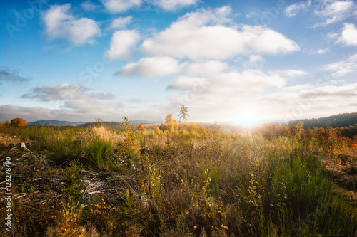 Backlight autumn Field