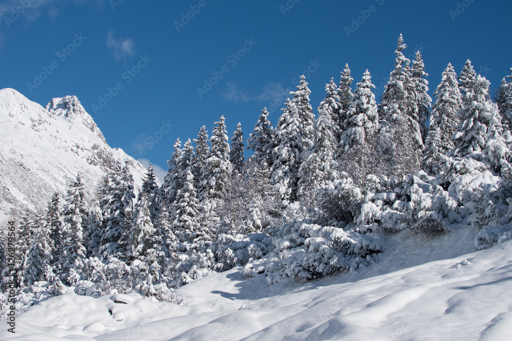 verschneite Baumgruppe am Berg
