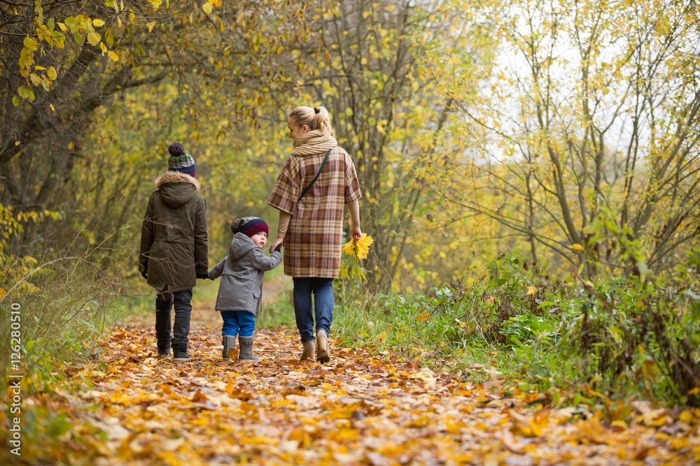 Back view on mother with two children walking in the autumn park. Woman with toddler and kid boys enjoying outdoor activities. Family and lifestyle concept Back view on mother with two children walking in the autumn park. Woman with toddler and kid boys enjoying outdoor activities. Family and lifestyle concept