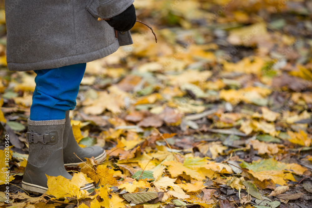 Closeup of toddler's rubber boots on bright autumn leaves background. Child walking in the park. Closeup of toddler's rubber boots on bright autumn leaves background. Child walking in the park.