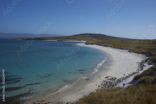 Curved white sand of Leopard Beach on the coast of Carcass Island in the Falkland Islands. 