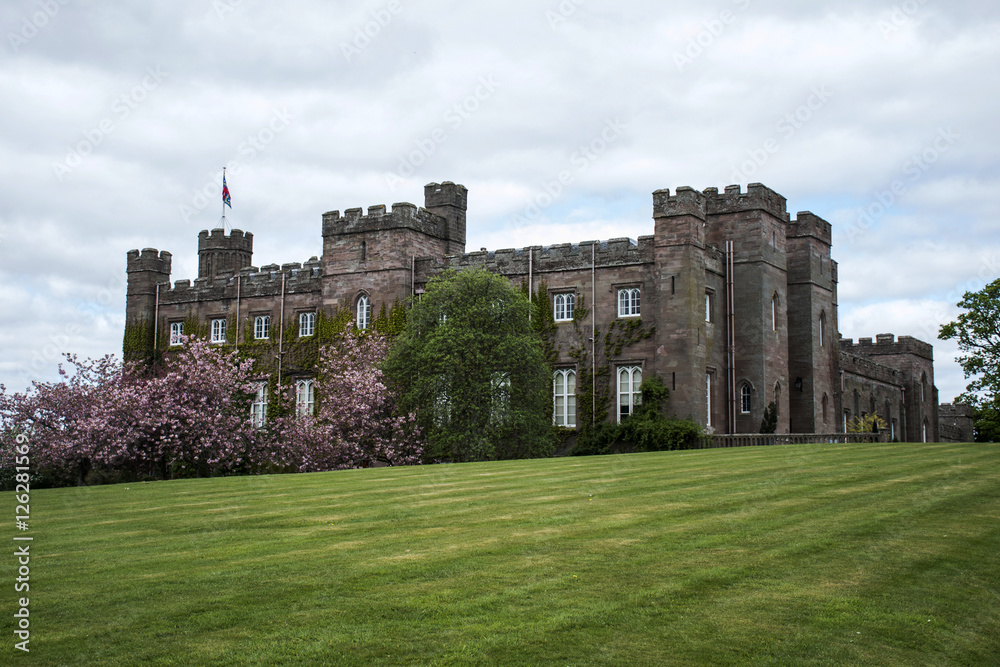 Landscape Park Forest Scotland Great Britain Scone Palace 2