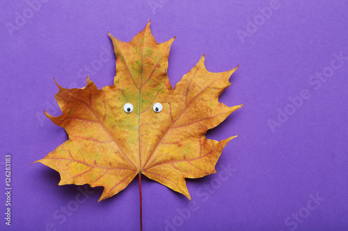 Autumn leaf with googly eyes on purple background