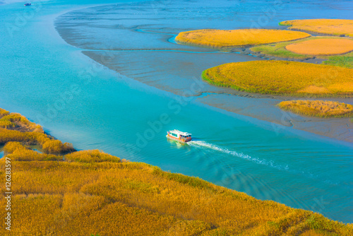 Suncheon bay ecological park  in South Korea photo