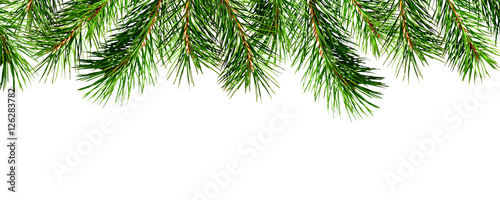 Seamless pine twigs edge